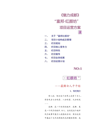 魅力成都富邦-红颜坊--项目运营方案