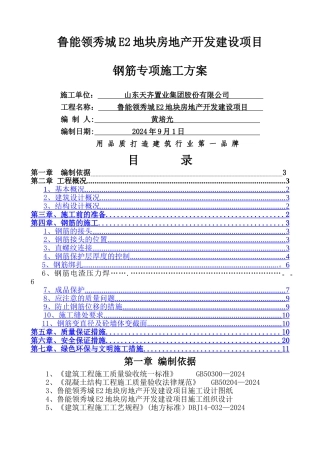鲁能领秀城E2地块钢筋专项施工方案