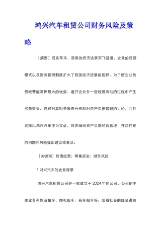 鸿兴汽车租赁公司财务风险及策略