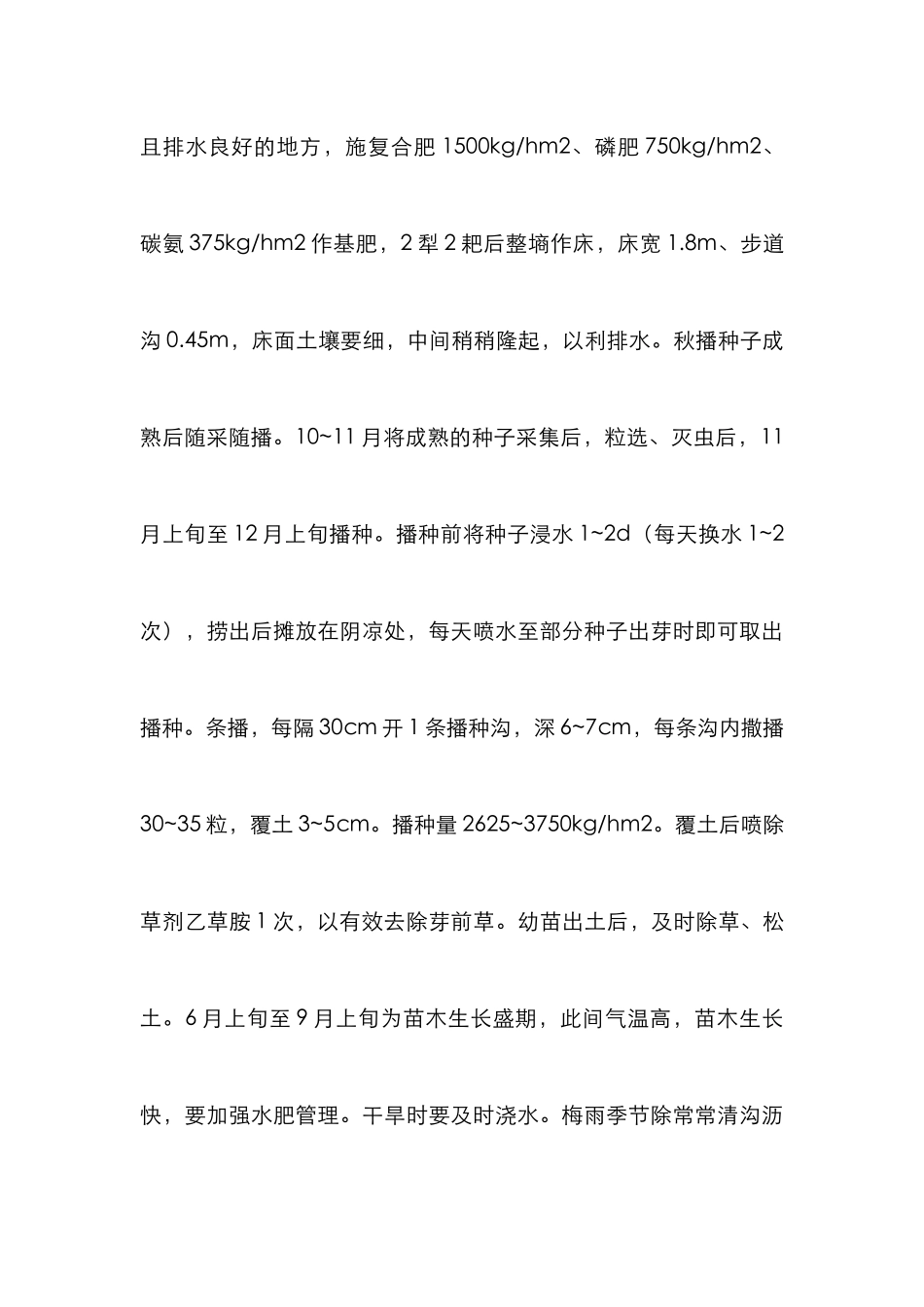 麻栎育苗研究论文_第3页