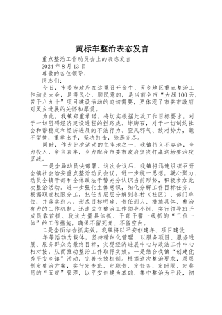 黄标车整治表态发言