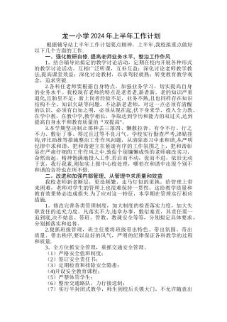 龙一小学13年上半年工作计划2