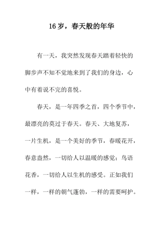 16岁-春天般的年华