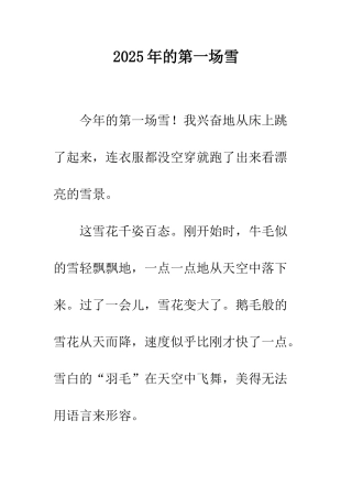 2007年的第一场雪-1