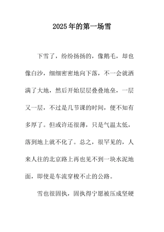 2008年的第一场雪-2