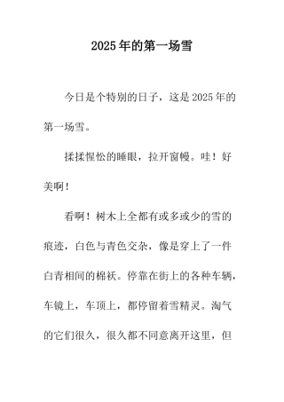 2008年的第一场雪