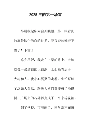 2009年的第一场雪-2
