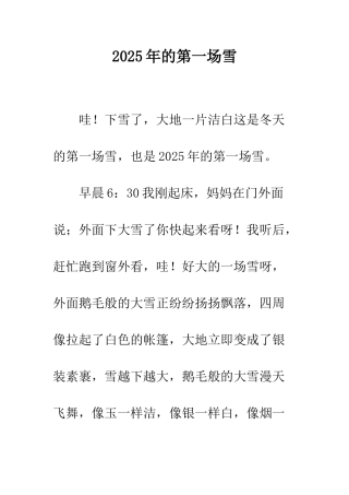2009年的第一场雪