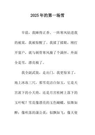 2009年的第一场雪-1