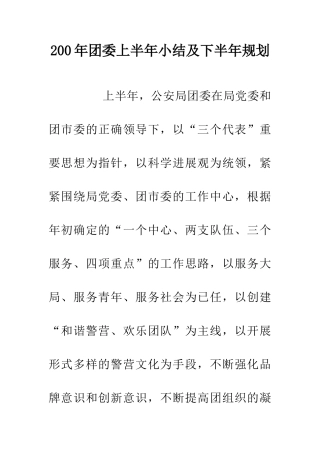 200年团委上半年小结及下半年规划