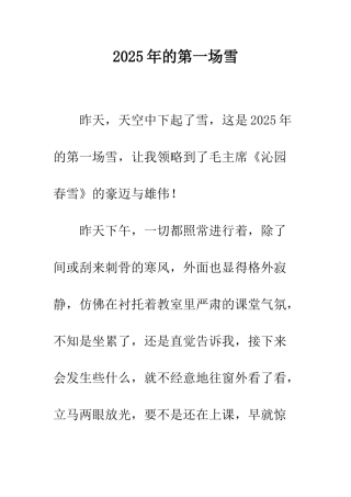 2010年的第一场雪
