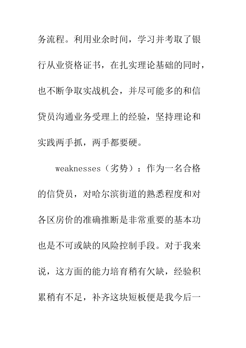 2025信贷员个人工作总结_第2页