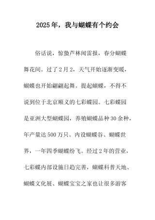 2025年-我与蝴蝶有个约会