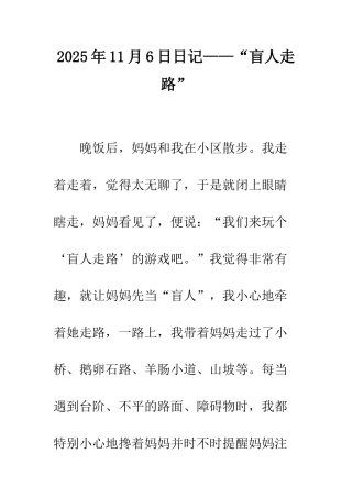 2025年11月6日日记——“盲人走路”