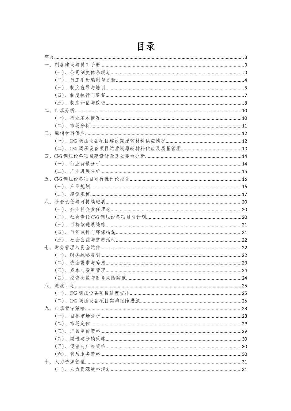 2025年CNG调压设备项目可行性研究报告_第2页