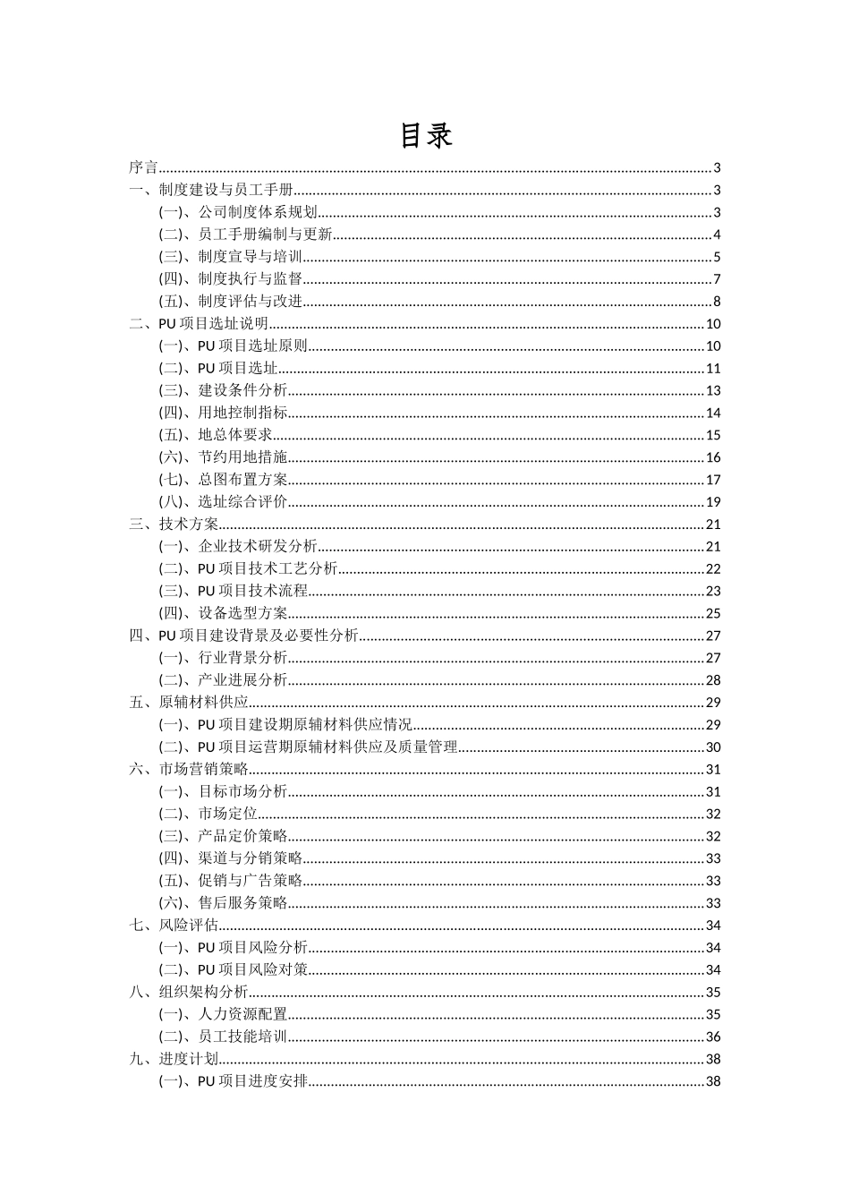2025年PU项目可行性分析报告_第2页