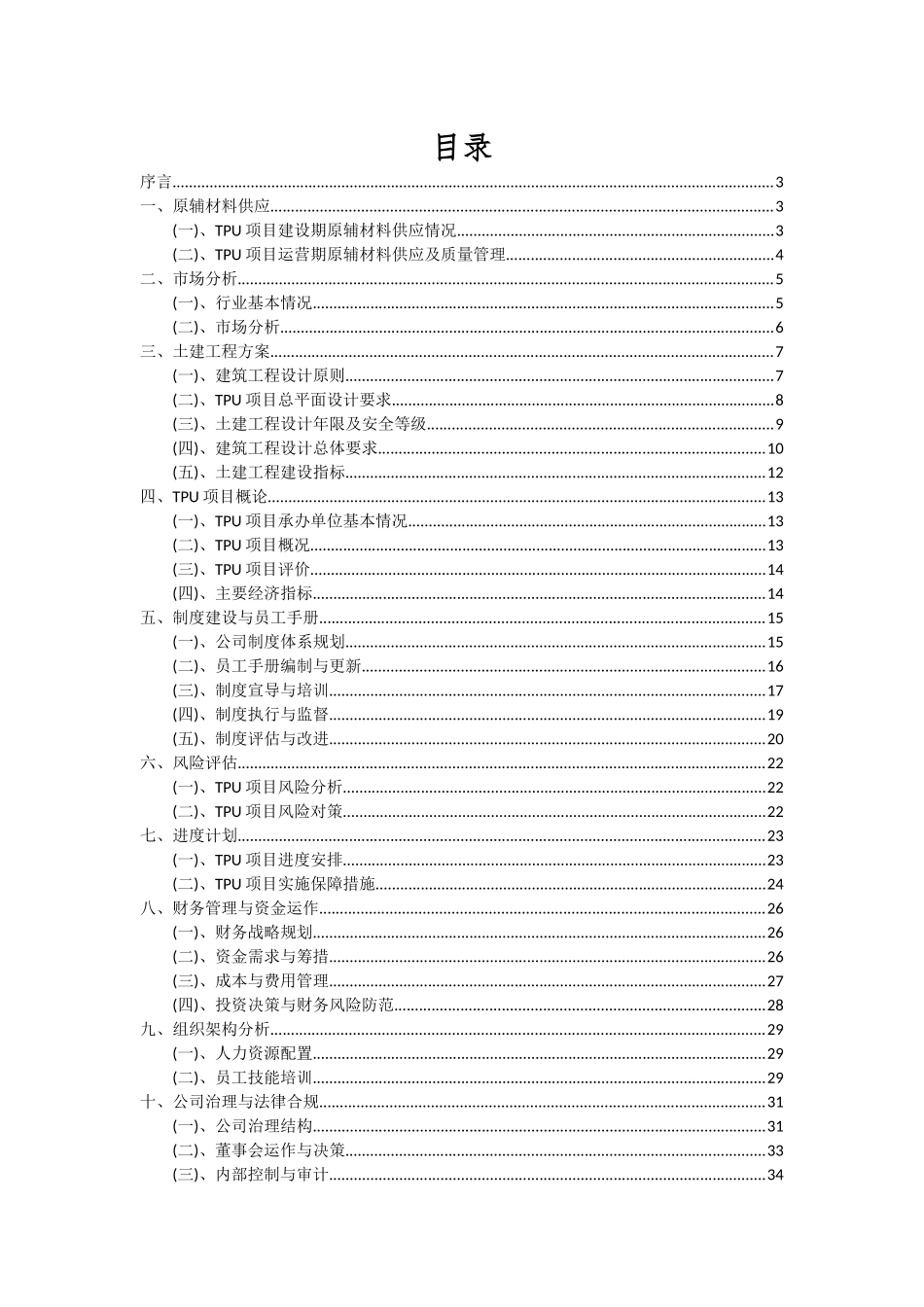 2025年TPU项目深度研究分析报告_第2页