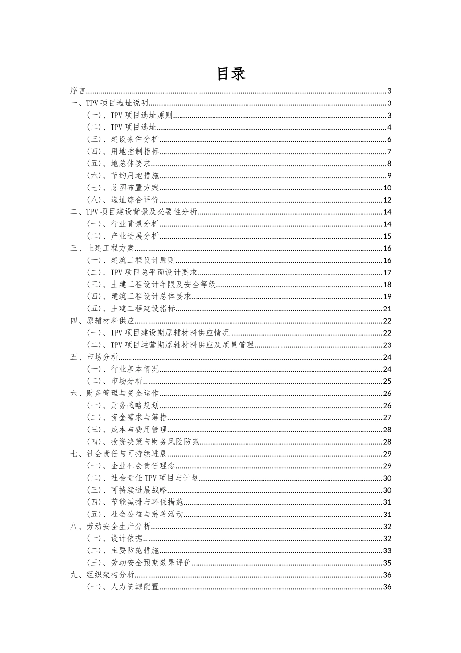 2025年TPV项目可行性分析报告_第2页
