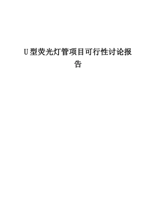 2025年U型荧光灯管项目可行性研究报告