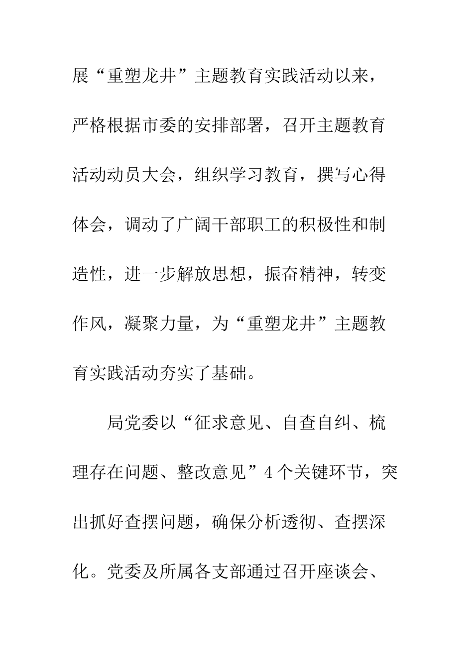 2025年上半年党建工作总结及下半年工作计划_第3页