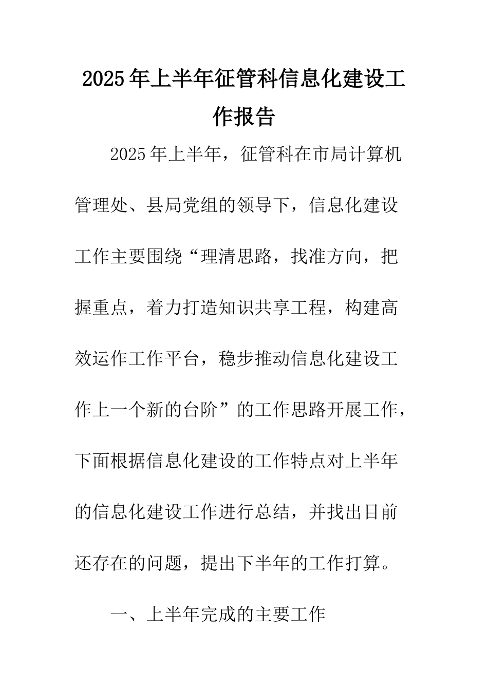 2025年上半年征管科信息化建设工作报告_第1页