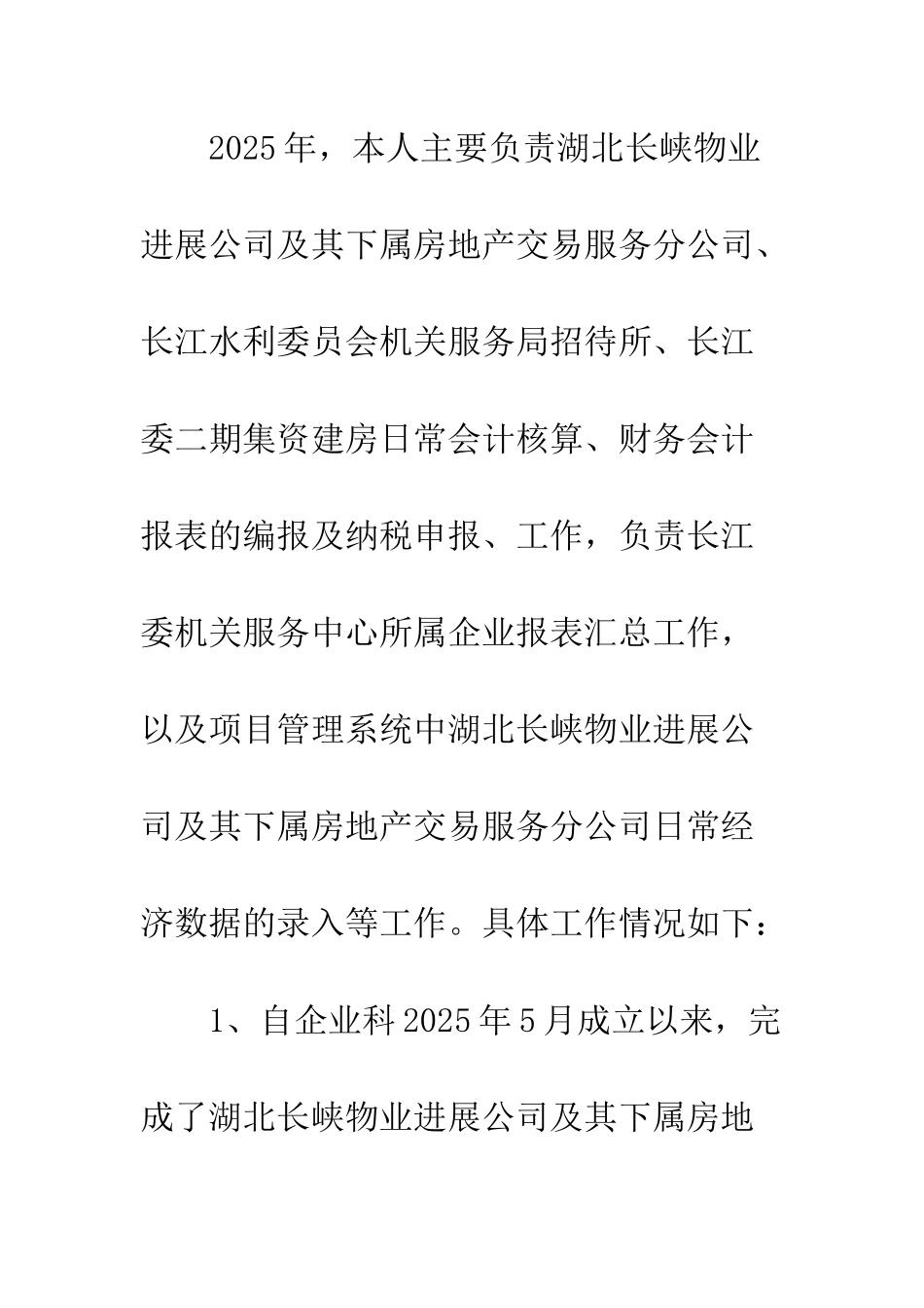 2025年个人会计核算工作总结_第3页