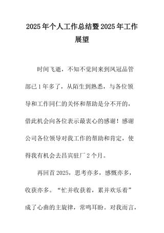 2025年个人工作总结暨2025年工作展望