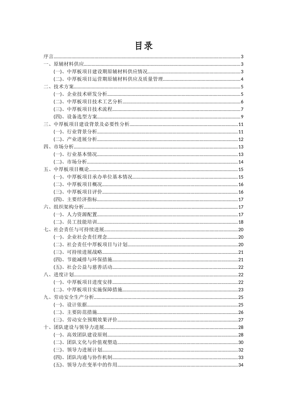 2025年中厚板项目可行性分析报告_第2页