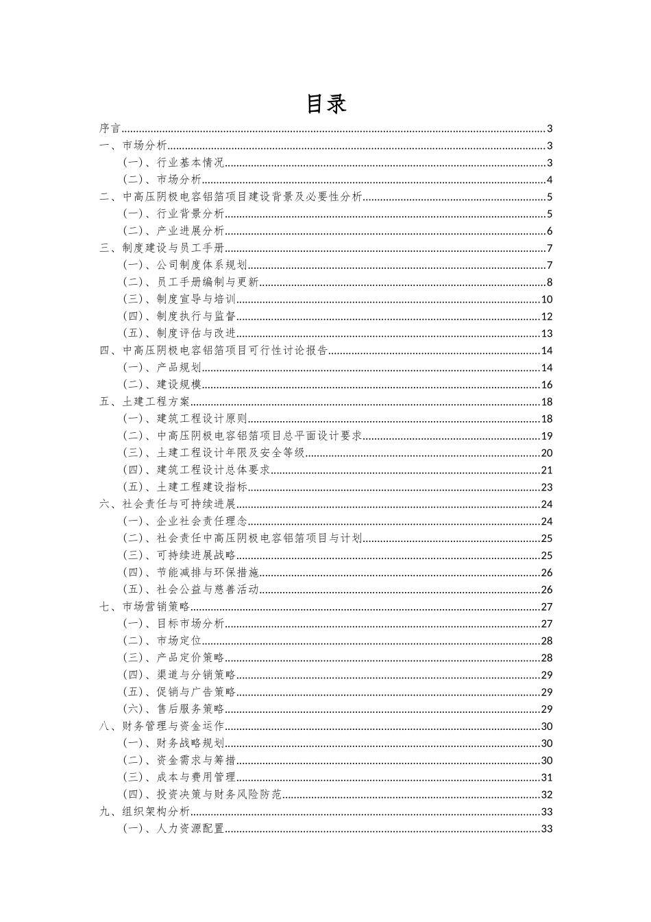 2025年中高压阴极电容铝箔项目深度研究分析报告_第2页