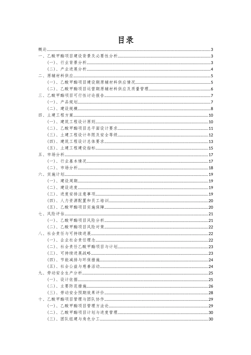 2025年乙酸甲酯项目可行性研究报告_第2页