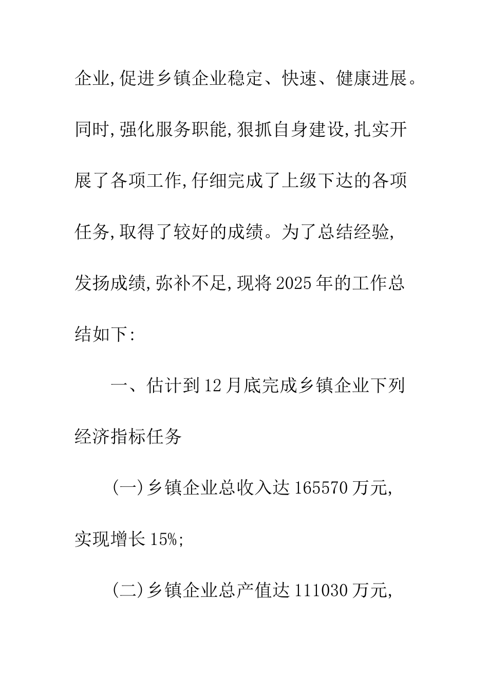 2025年乡镇企业局工作总结_第2页