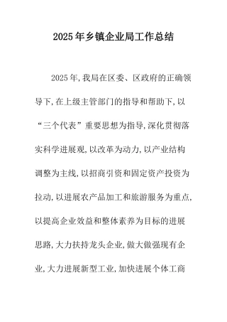 2025年乡镇企业局工作总结