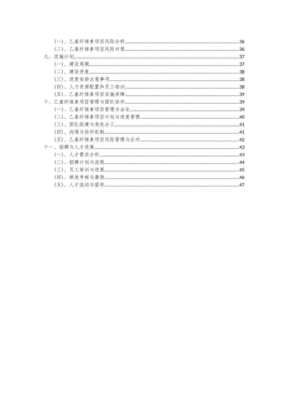 2025年乙基纤维素项目可行性分析报告_第3页