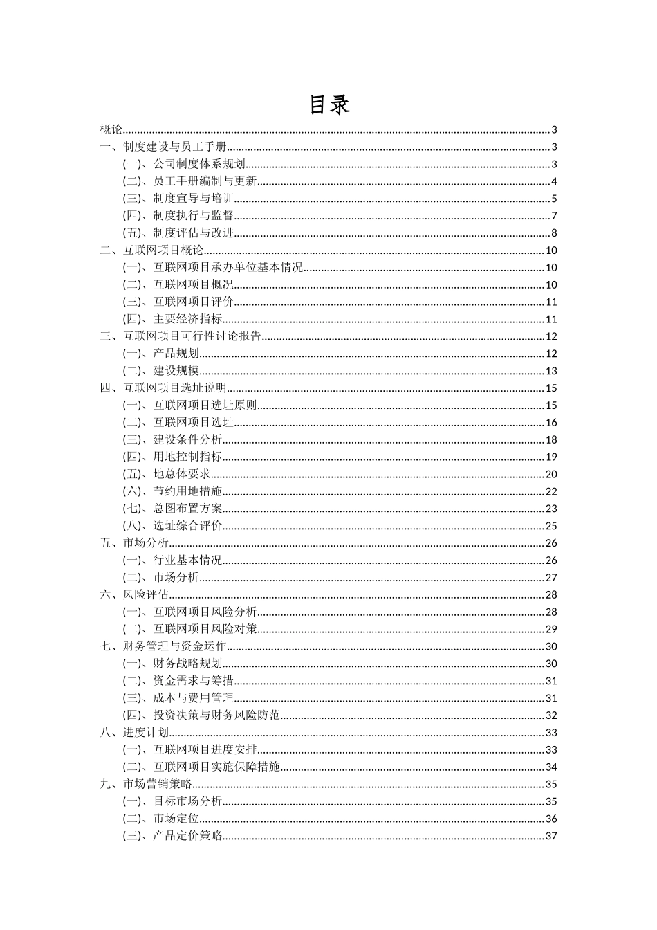 2025年互联网项目投资分析及可行性报告_第2页