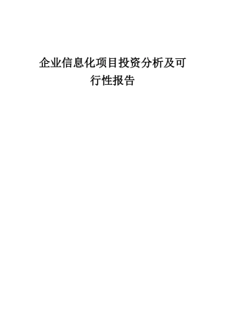 2025年企业信息化项目投资分析及可行性报告