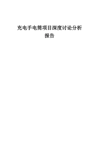 2025年充电手电筒项目深度研究分析报告
