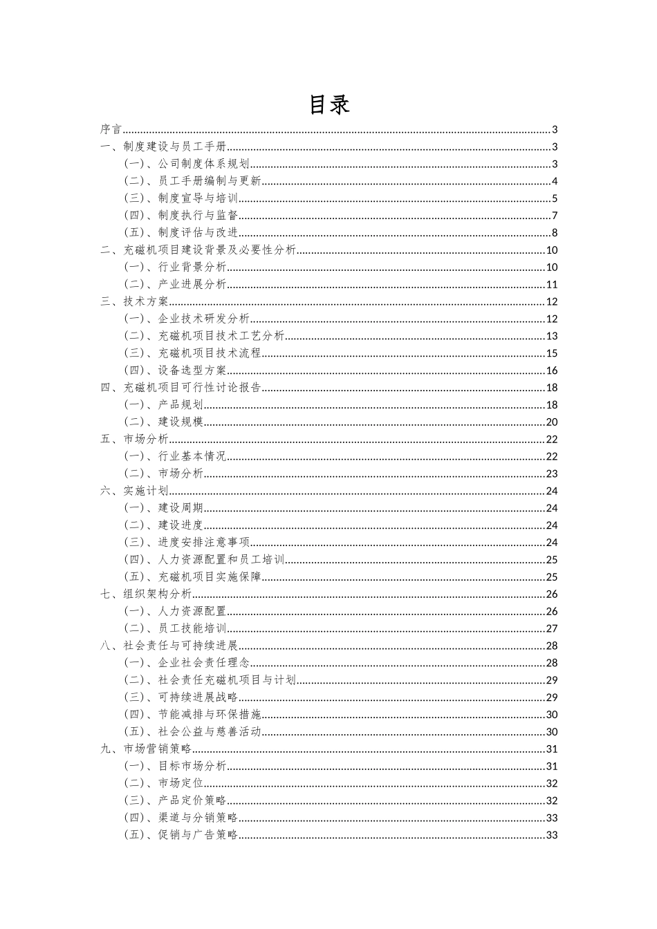 2025年充磁机项目可行性研究报告_第2页
