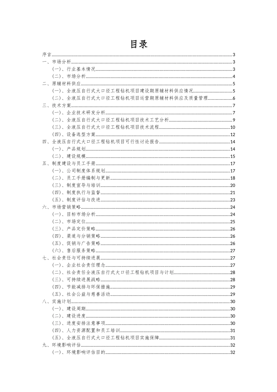 2025年全液压自行式大口径工程钻机项目可行性分析报告_第2页