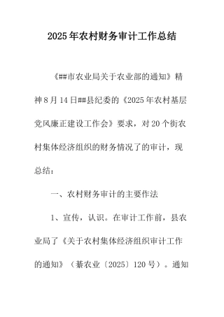 2025年农村财务审计工作总结