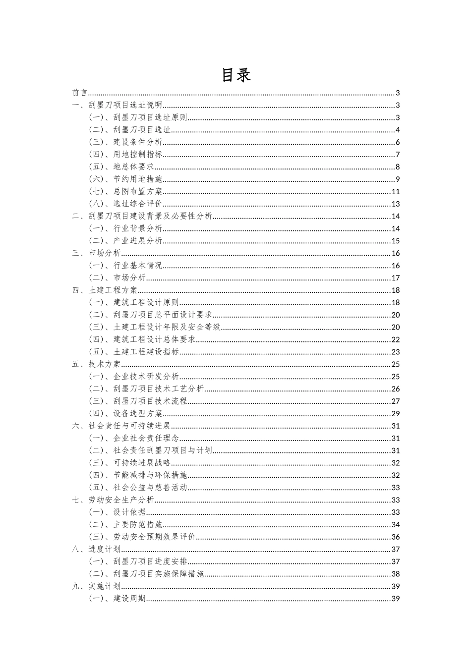 2025年刮墨刀项目可行性分析报告_第2页