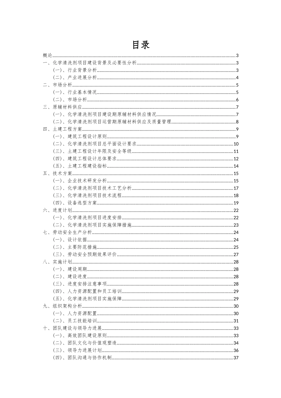 2025年化学清洗剂项目可行性分析报告_第2页