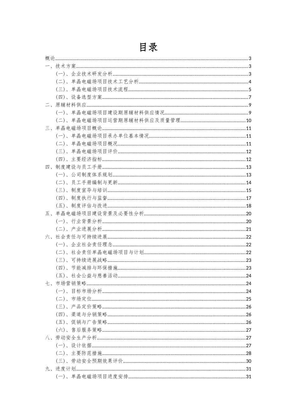 2025年单晶电磁场项目可行性分析报告_第2页