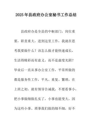 2025年县政府办公室秘书工作总结