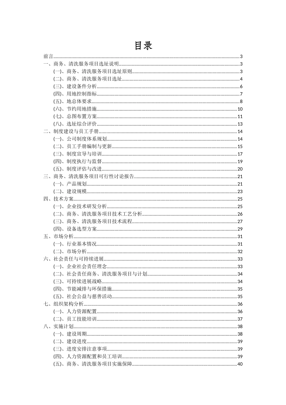 2025年商务、清洗服务项目可行性分析报告_第2页