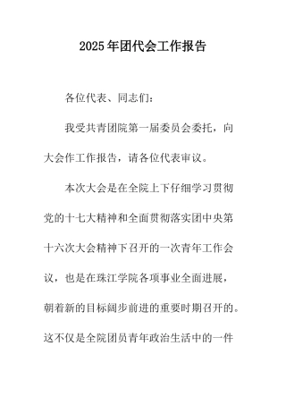 2025年团代会工作报告
