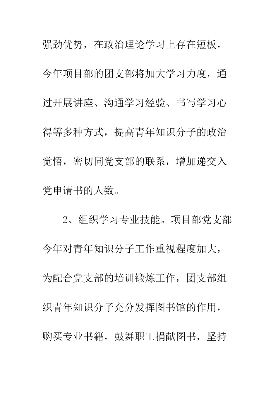 2025年团支部活动总结及工作计划_第2页