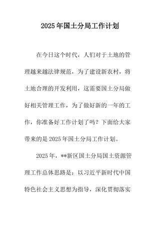 2025年国土分局工作计划