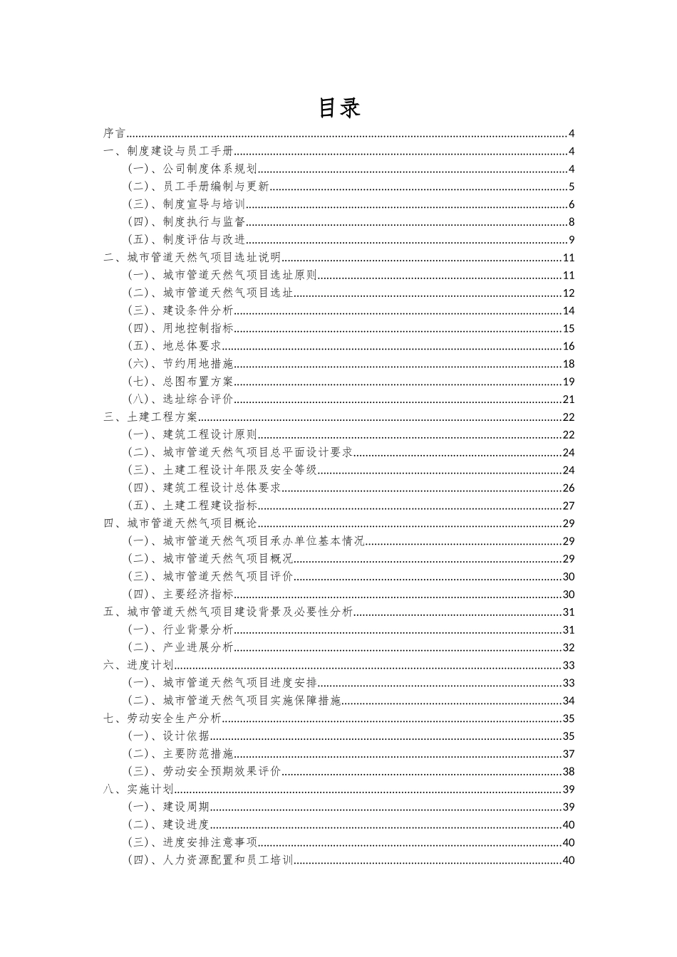 2025年城市管道天然气项目可行性研究报告_第2页