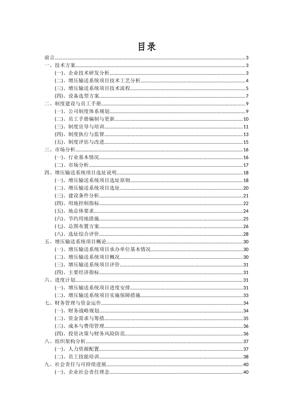 2025年增压输送系统项目可行性分析报告_第2页