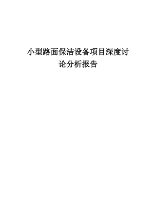 2025年小型路面保洁设备项目深度研究分析报告